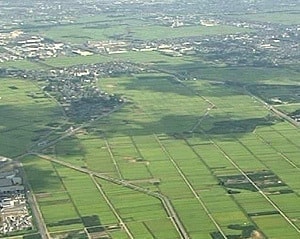 灌漑施設の整備によりみごとな美田に生まれ変わった亀田郷